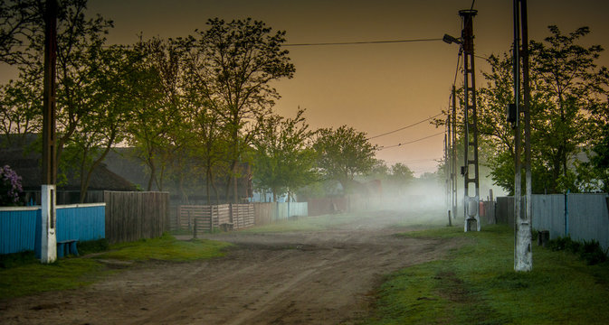 Nature in the Danube Delta near Letea C.A. Rosetti and Sfistofca