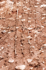 Tractor, excavator, car, automotive tire tracks on muddy trail. Mud and wheel trace on road after rain. Mud with truck wheel track in rainy day. Background, texture, pattern, material, wallpaper.