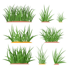 Bunches of green grass on an earthen mound. Design of summer cards. Flat vector cartoon illustration. Objects isolated on a white background.