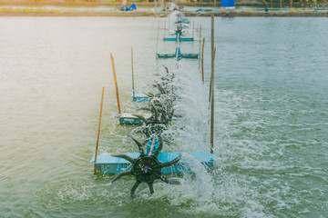 Turbine Baler  for Shrimp Pond.