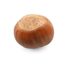 Tasty hazelnut on white background