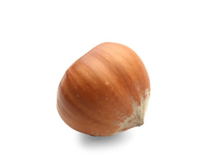 Tasty hazelnut on white background