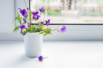 Bouquet of wild flowers on the windowsill. Blue flowers pansies