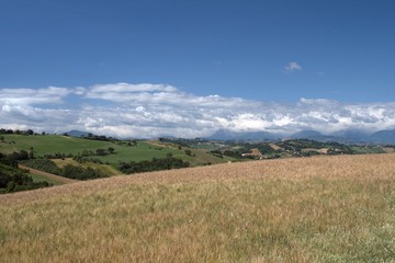 center of Italy,Sibillini mountains,landscape,cereals,field,panorama,sky,clouds