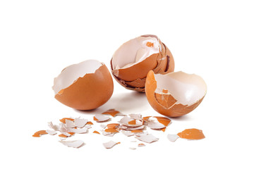 Broken shell of chicken eggs