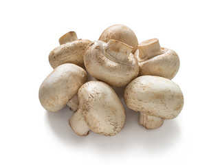 Champignon for cooking