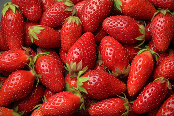 A bunch of fresh organic strawberries. Close up macro. Background