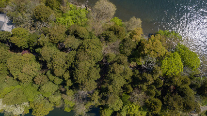 [空撮写真]野尻湖琵琶島(弁天島)