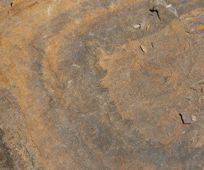 Stone ocher and black