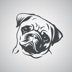 Cute pug dog head. Vector illustration. - obrazy, fototapety, plakaty