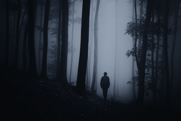 Obraz premium ciemne lasy halloween sceny z sylwetka człowieka na leśnej drodze