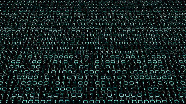 Cyber crime in cyberspace, computer network security