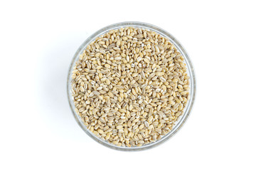 Pearl barley isolated on white background.