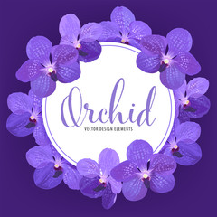 Flower frame of vanda orchid flower with white background template. Vector set of blooming floral for holiday invitations, greeting card and fashion design.