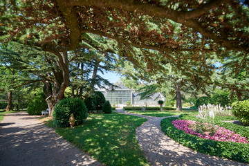 Botanical garden of Sežana, 19th century, Slovenia A 150-years old cedar, flowerbeds, blooming pergolas and the palmarium - garden of joy