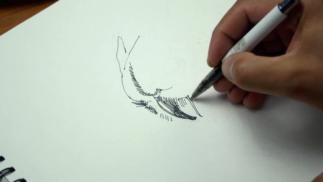 Close-up shot of a painter drawing with ink pen and making owl. Timelaps. 4K