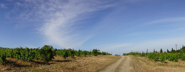 panorama of the natural landscape with the road.