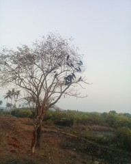 Природа, океан и умиротворение 