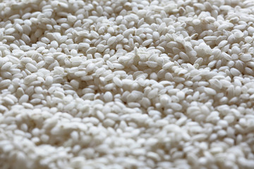 close up on some raw ripe rice