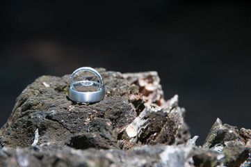 silver wedding rings on wood