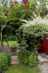 Kleingarten, Schattenecke im Garten