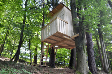 Holzhaus, Baumhaus