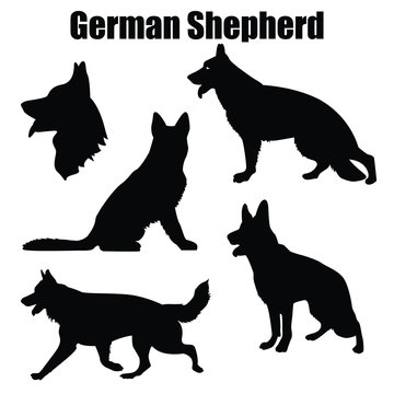 Vector illustration of German Shepherd dog in different poses isolated on white background.