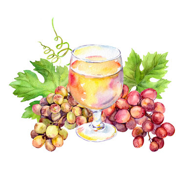 White wine glass, vine leaves and grape berries. Watercolor