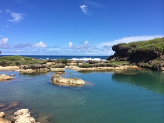 Obraz premium natural landscape