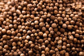 coriander seeds on a dark stone background, essential oil