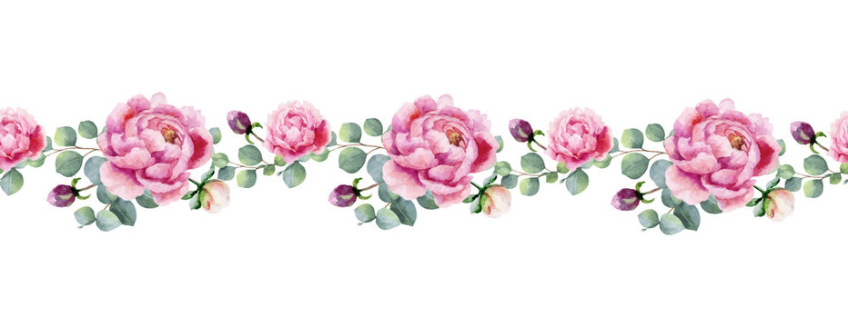 Watercolor vector hand painting horizontal banner of peony flowers and green leaves.