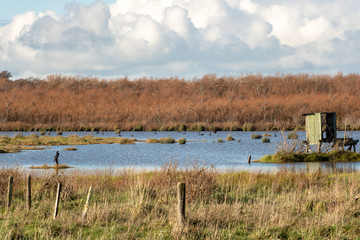 Duck Hunting Blind In New Zealand Lake Wairarapa 