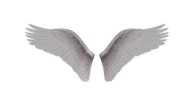 Angel Wings. Looped. Alpha Channel Included.