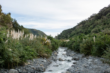 Fototapeta na wymiar New Zealand Clean Beautiful River 
