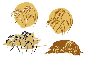 米黄金 ハッキリタッチ