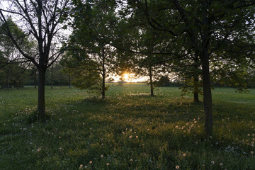 Spring sunset at Grugnotorto park