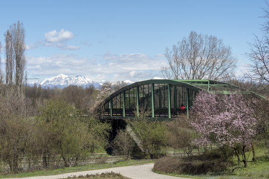 Parco Nord, Milan, at springtime