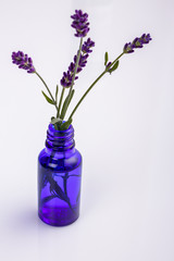 Lavender essential oil in a glass bottle with a pipette