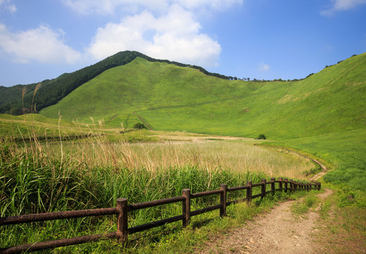 Dirt path with wooden fence protecting tall pampas grass below green hillside at Soni Kogen Highland Park