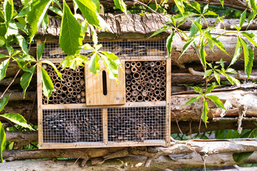 Unterschlupf für Insekten