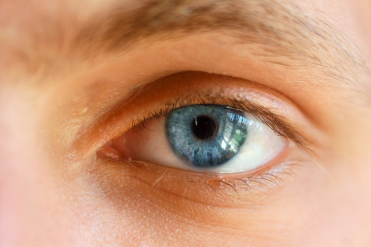 beautiful blue eye close-up, bright eyes