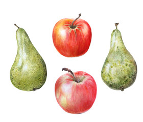 Fototapeta na wymiar Watercolor set of fruits: apples and pears