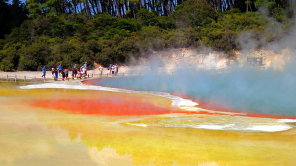 Geyser in Rotorua, New Zealand