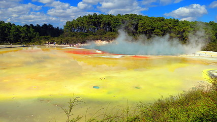 Geyser in Rotorua, New Zealand