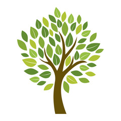 Fototapeta premium drzewo