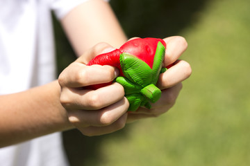 Child hands squeezing a red strawberry Squishy toy