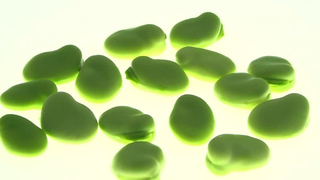 Fava bean on a white background