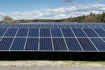 Solarkraftwerk am Wald
