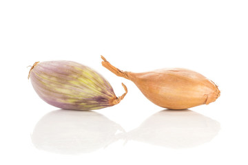 Two shallots one in golden husk and one peeled isolated on white background.
