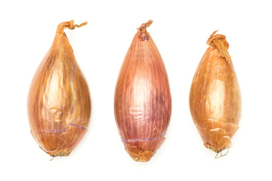 Three unpeeled shallots collection flatlay isolated on white background.